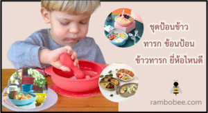 ชุดป้อนข้าวทารก ช้อนป้อนข้าวทารก ยี่ห้อไหนดี