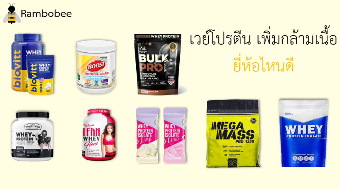 เวย์โปรตีน เพิ่มกล้ามเนื้อ ยี่ห้อไหนดี เวย์โปรตีน เพิ่มกล้ามเนื้อ ยี่ห้อไหนดี