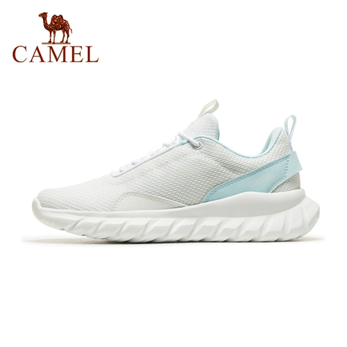 9. Camel1
